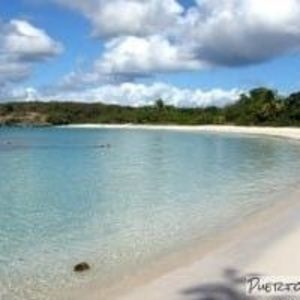 Meet your Posher, Carmen